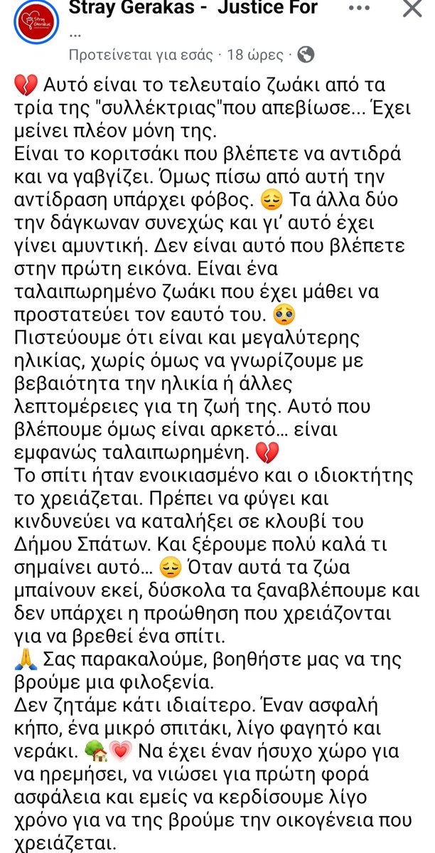 KatKatPt's tweet photo. 🆘️🆘️🆘️
Αυτό το ταλαιπωρημενο κορίτσι βρισκόταν μαζί με άλλα 2 σκυλιά στο σπίτι συλλεκτριας
Τα άλλα 2 τη δαγκωναν κ είναι φοβισμενη
Πρέπει να βρεθεί άμεσα ενα σπιτι γτ θα καταλήξει σε κλουβί
Τα πάει πολύ καλά με γατάκια
Ενα σπίτι,μια αυλή μια 2η ευκαιρία για εκείνη;
Rt🙏🙏🙏 https://t.co/0KfWdPxUH8