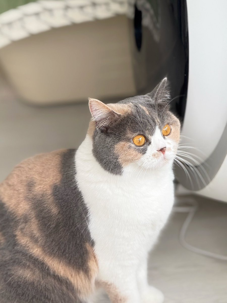 Bonusiie's tweet photo. เห็นคอมั้ย คอนุ https://t.co/aNvhqWJjOb