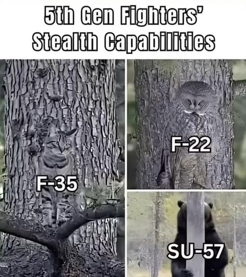 theragingtanker's tweet photo. https://t.co/dmTsDHTieh