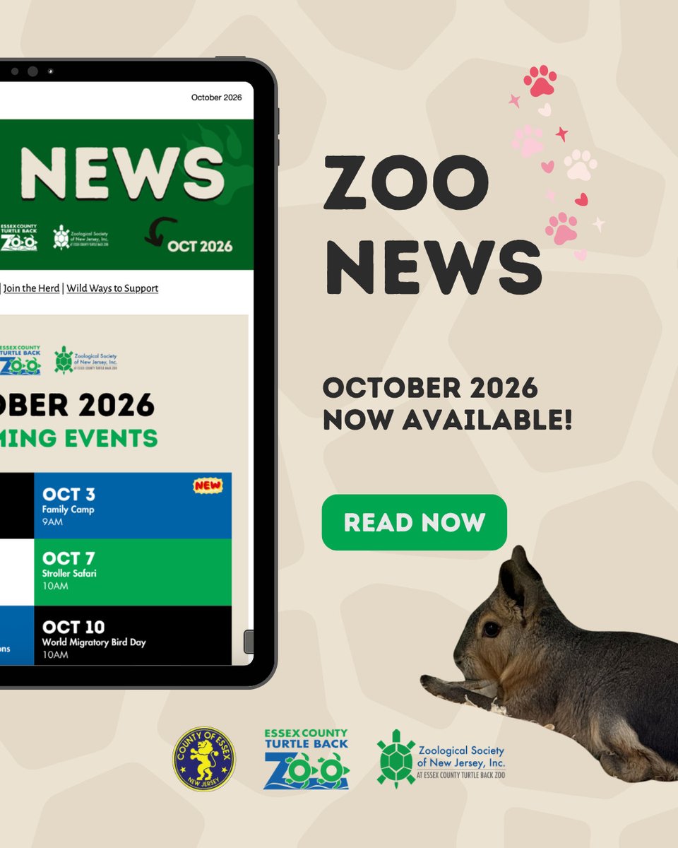 TurtleBackZoo's tweet photo. 🏃 October Zoo News 🎃
Conservation in Focus
Read now: https://t.co/Whg8u8Gd6b https://t.co/xRsmfpoOxF