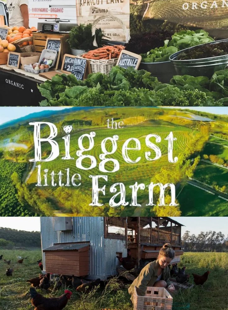 Agnetti80's tweet photo. As expected of a treasure documentary with a 9.3 rating on Douban‼️ It’s truly so healing. It’s not just about the farm — it’s more like exploring the inner world of each of us. https://t.co/qM6qCkVJEn
