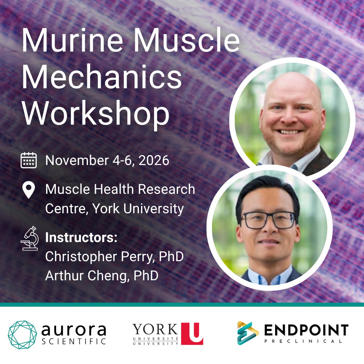 AuroraSci's tweet photo. Our webinar with Dr. @ChrisPerryMito and Dr. Arthur Cheng is now available on demand! https://t.co/P0bGOvZY0B
Go beyond the webinar and join a hands-on workshop on measuring skeletal muscle function in murine models.
Register now! https://t.co/xOEo68G3hM
#MusclePhysiology https://t.co/hJJ4Yd52CH