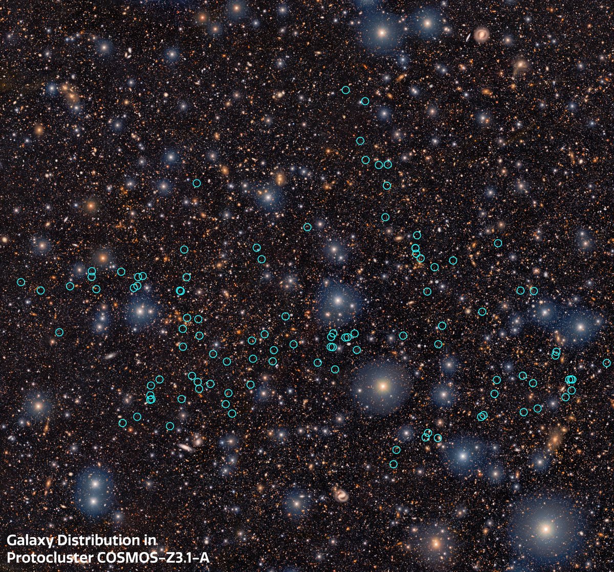 AURAinChile's tweet photo. 🔭¡Desde @cerrotololo! Chile aporta a un descubrimiento récord: un gigantesco proto-supercúmulo de galaxias🌀
Estas galaxias tienen un antepasado con una masa 5.000 veces mayor que la de la Vía Láctea https://t.co/CU2Rhg9DMf https://t.co/ZhoShTfdqf