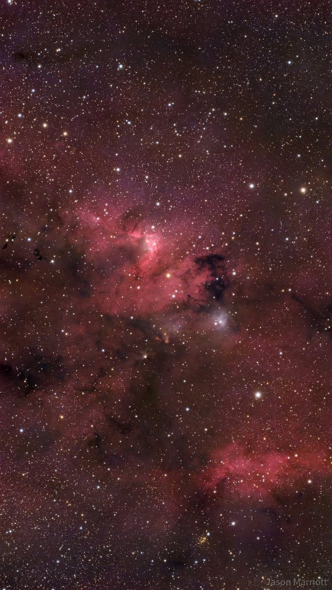 Seestar_astro's tweet photo. 🌌 October Sky Picks: 5 Deep-Sky Targets Worth Capturing 

October skies are calling — what’s on your capture list this month? 🔭✨  

From colorful nebula to sparkling star clusters, here are 5 deep-sky targets worth pointing your Seestar toward: 
🔭 Caldwell 9 — Cave Nebula 
🔭 NGC 1499 — California Nebula 
🔭 IC 63 — Ghost Nebula 
🔭 M33 — Triangulum Galaxy 
🔭 NGC 457 — Owl Cluster  

Special thanks to Star Walk for putting together this month’s observing guide. 
✨ Check the guide here:https://t.co/jx8ifAAb7T  

Photo credit: 
Cave Nebula-Jason Marriott 
California Nebula-Gabriel T.C. Doering 
Ghost Nebula-Mick Mee/Jim Wimmer 
Triangulum Galaxy-Krishna Vinod  
Owl Cluster-AstroSignals  

Which one is making it onto your Seestar target list first? 👇 
#Seestar #October #Astrophotography #DeepSky #Nebula #Astronomy #Stargazing #SmartTelescope