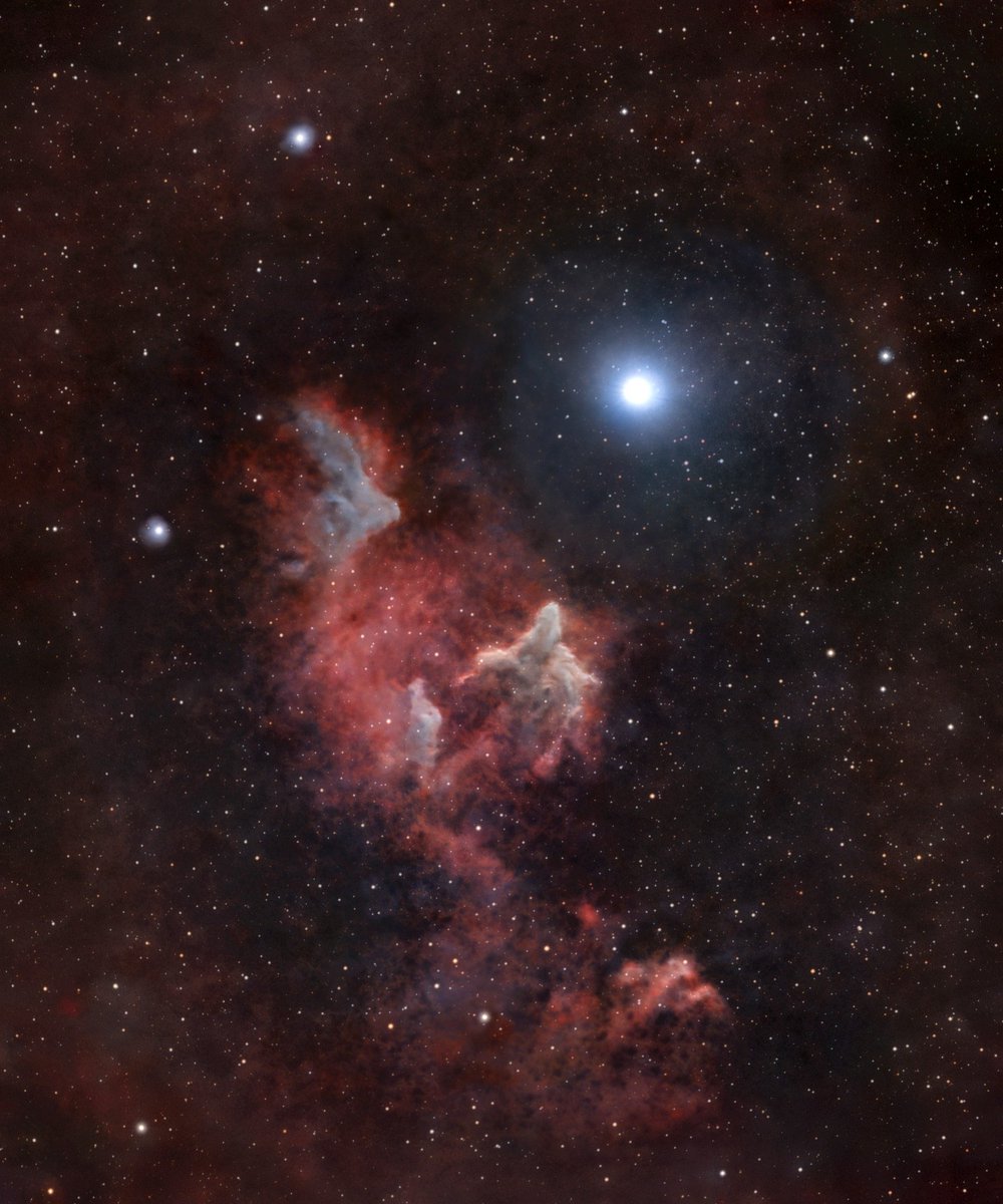 Seestar_astro's tweet photo. 🌌 October Sky Picks: 5 Deep-Sky Targets Worth Capturing 

October skies are calling — what’s on your capture list this month? 🔭✨  

From colorful nebula to sparkling star clusters, here are 5 deep-sky targets worth pointing your Seestar toward: 
🔭 Caldwell 9 — Cave Nebula 
🔭 NGC 1499 — California Nebula 
🔭 IC 63 — Ghost Nebula 
🔭 M33 — Triangulum Galaxy 
🔭 NGC 457 — Owl Cluster  

Special thanks to Star Walk for putting together this month’s observing guide. 
✨ Check the guide here:https://t.co/jx8ifAAb7T  

Photo credit: 
Cave Nebula-Jason Marriott 
California Nebula-Gabriel T.C. Doering 
Ghost Nebula-Mick Mee/Jim Wimmer 
Triangulum Galaxy-Krishna Vinod  
Owl Cluster-AstroSignals  

Which one is making it onto your Seestar target list first? 👇 
#Seestar #October #Astrophotography #DeepSky #Nebula #Astronomy #Stargazing #SmartTelescope