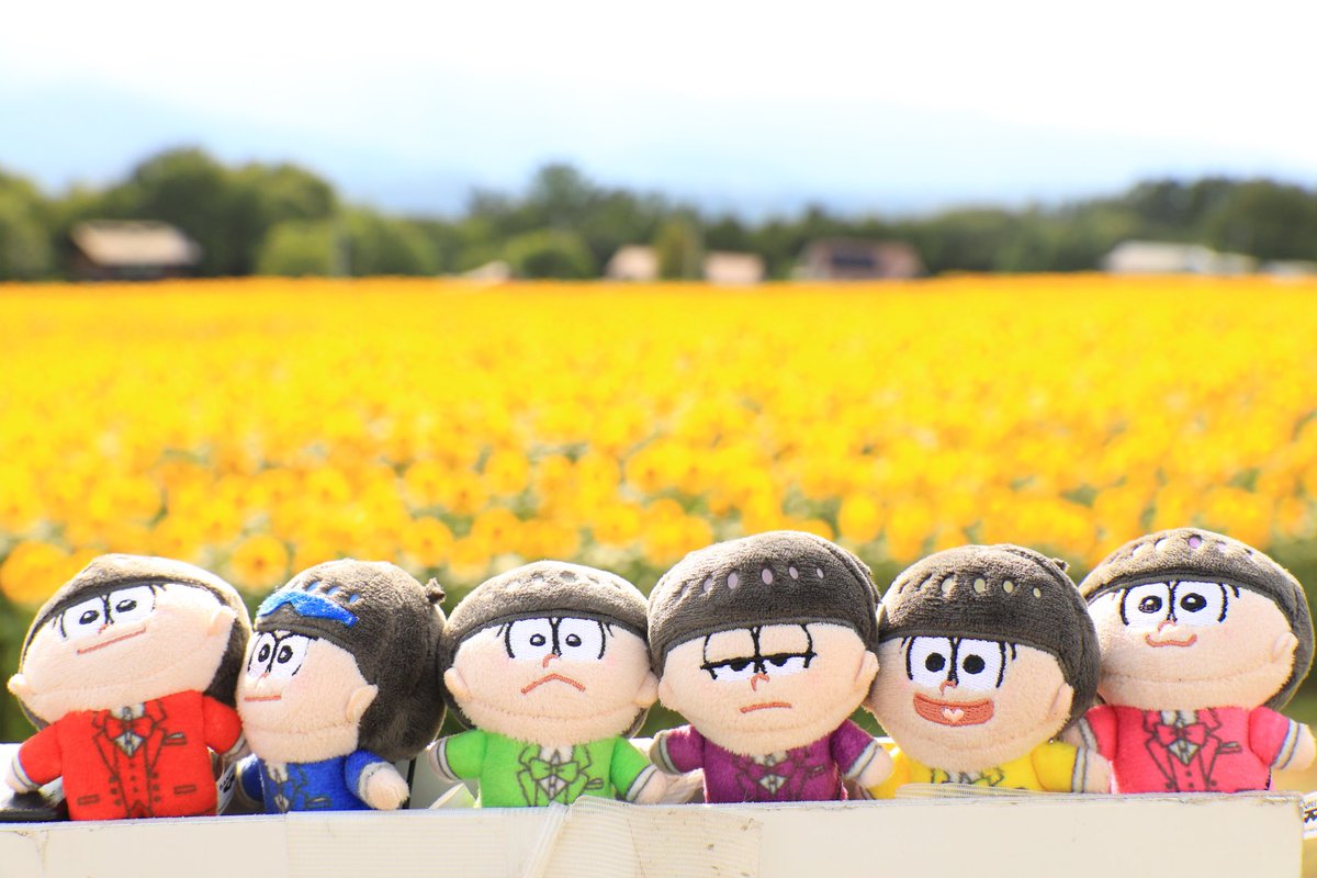 papurika114's tweet photo. #おそ松さん11周年 
おめでとうございます🎉🎉🎉
これからもよろしくね❤️💙💚💜💛🩷✨✨ https://t.co/dkWl64jUpE