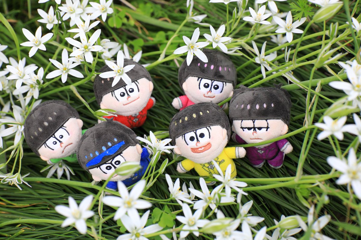 papurika114's tweet photo. #おそ松さん11周年 
おめでとうございます🎉🎉🎉
これからもよろしくね❤️💙💚💜💛🩷✨✨ https://t.co/dkWl64jUpE