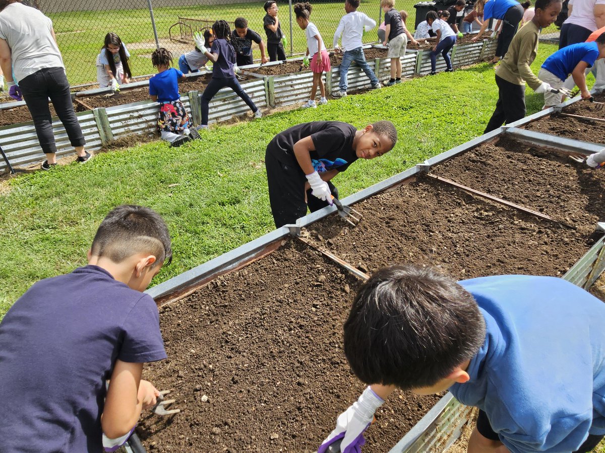 BrooksideBruins's tweet photo. It was a team effort to get our Fall Garden started! Kindergarten, 1st, &amp; 2nd graders prepped the soil and planted our seeds. We are excited to watch them grow! 
#BrooksideBEST #ChristinaStrong https://t.co/5xwwx0Jkkg