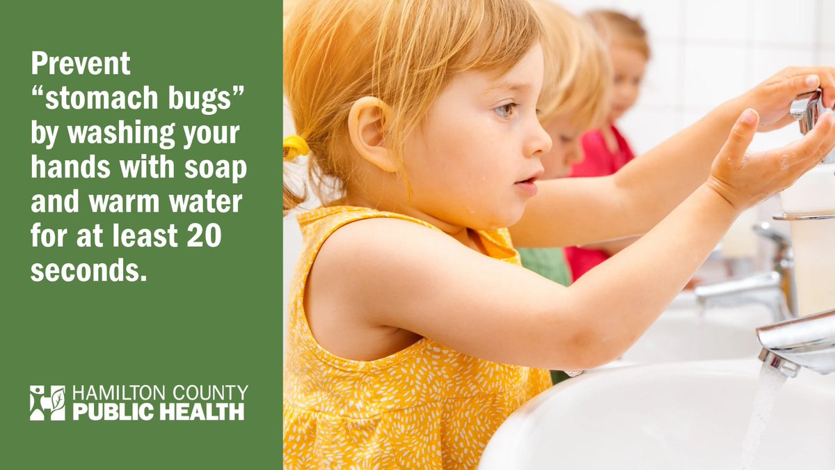 HamCoHealth's tweet photo. Most “stomach bugs" last only one or two days. But "stomach bugs," or norovirus, can spread quickly from person to person, student to student and sibling to sibling.

Download our norovirus fact sheet to learn how you can prevent illness: https://t.co/fx6g5V1qLC. https://t.co/kT4Ui5JldT
