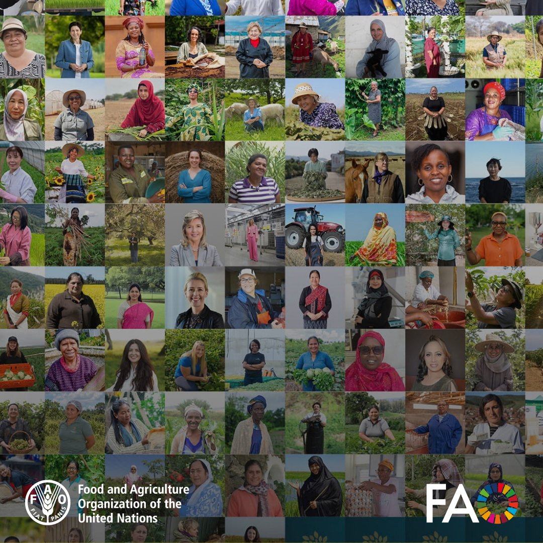 FAO's tweet photo. Women are indispensable to agrifood systems, but their work and leadership too often remain unseen.

@FAO’s inaugural 100 Women Heroes in Agrifood Systems and Rural Development celebrates their vital role and leadership across agrifood systems.

https://t.co/PielSRbLkf

#IYWF2026 https://t.co/SNotE5zOk0
