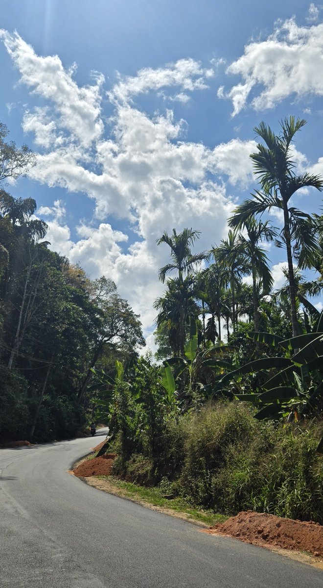 sathiya0908's tweet photo. Greenery ♥️♥️ https://t.co/qTUKuk1VYy