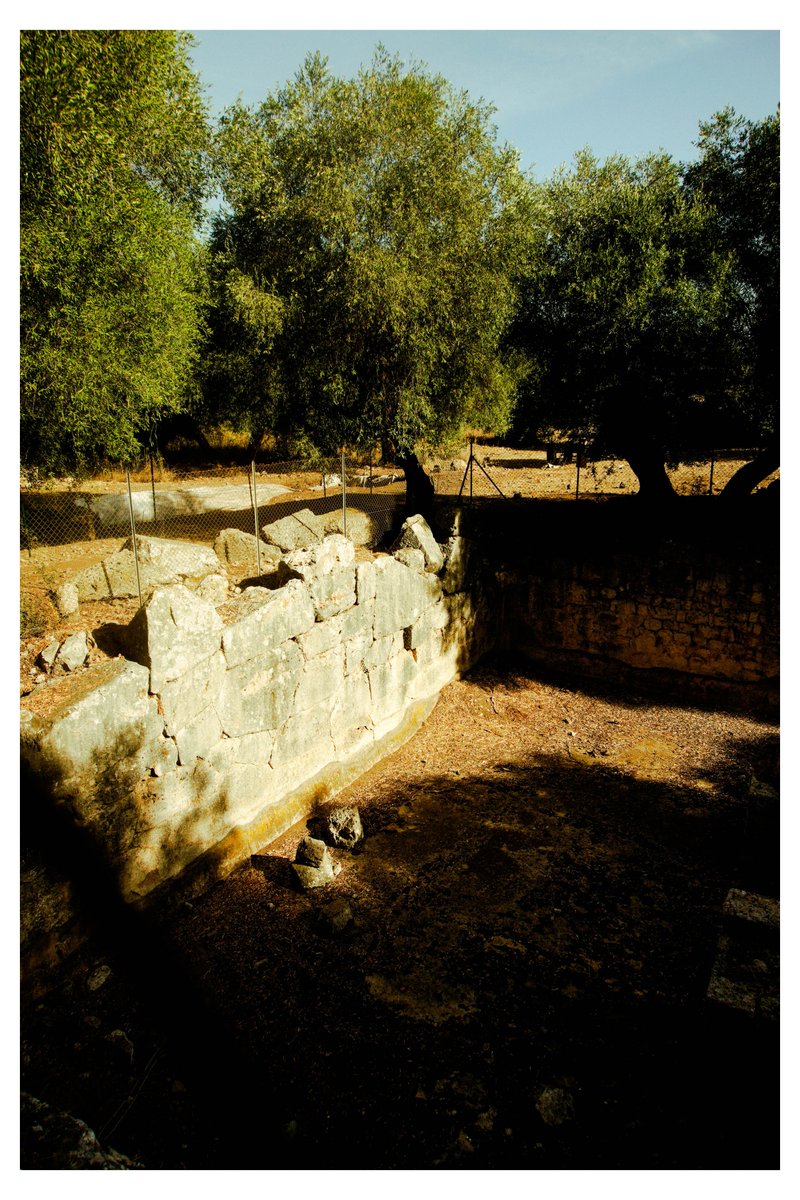 airalisbadapple's tweet photo. a week ago i was in my La Chimera era and i took some photos: https://t.co/t69SnNAWsJ