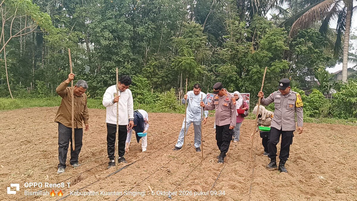 ManarYuris's tweet photo. Personil Polsek Kuantan Mudik bersama Forkopimcam, Bumdes dan Ppl Pertanian melaksanakan kegiatan penanaman jagung pipil di Desa Petapahan
#Swasembadapangan
#Ketahananpangan https://t.co/kvPUn1cKkJ