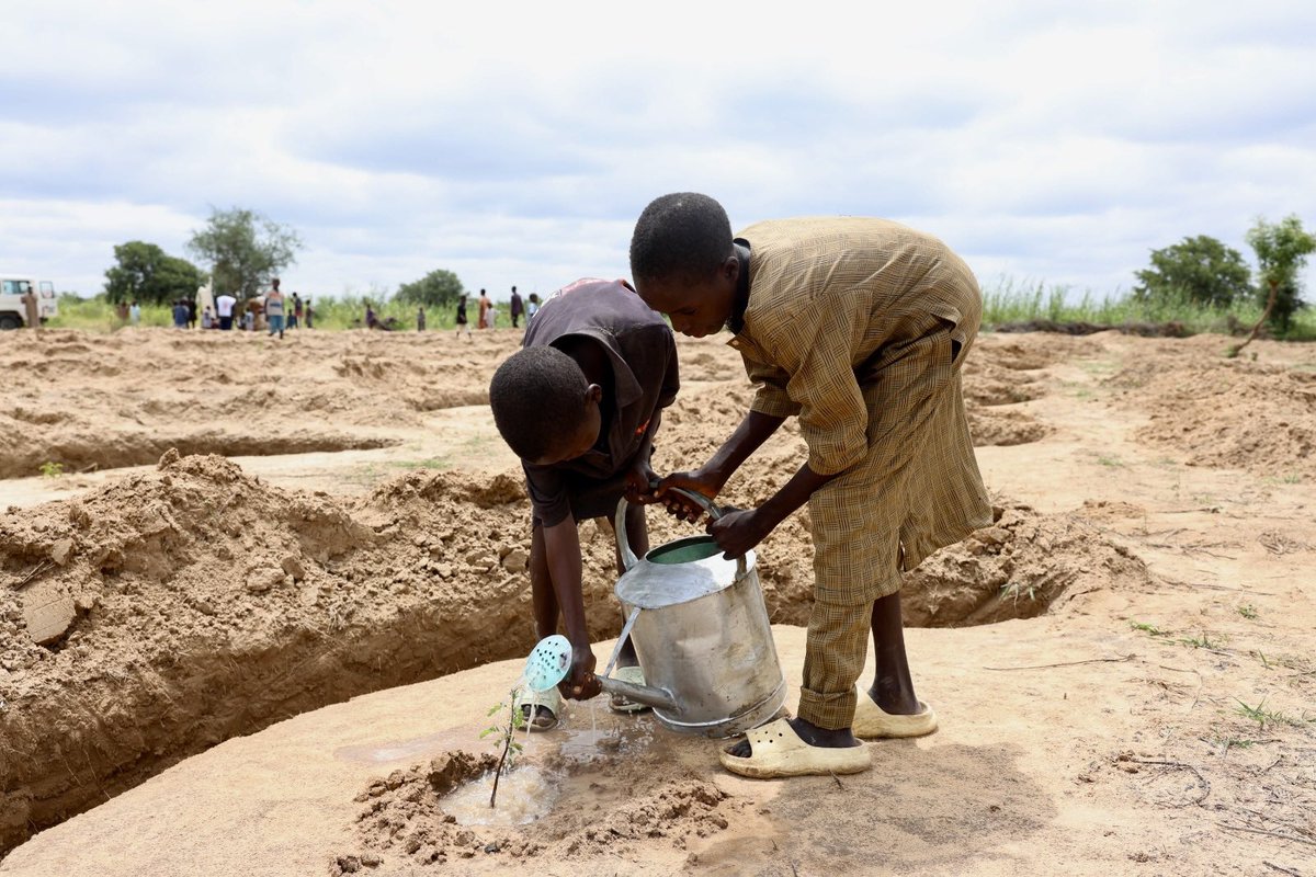 nrcs_ng's tweet photo. Where drought has made farming harder, communities in Jigawa are restoring land, growing food and rebuilding hope—with support from NRCS &amp; @ifrc . 

#ClimateResilience https://t.co/U1M45fwALN