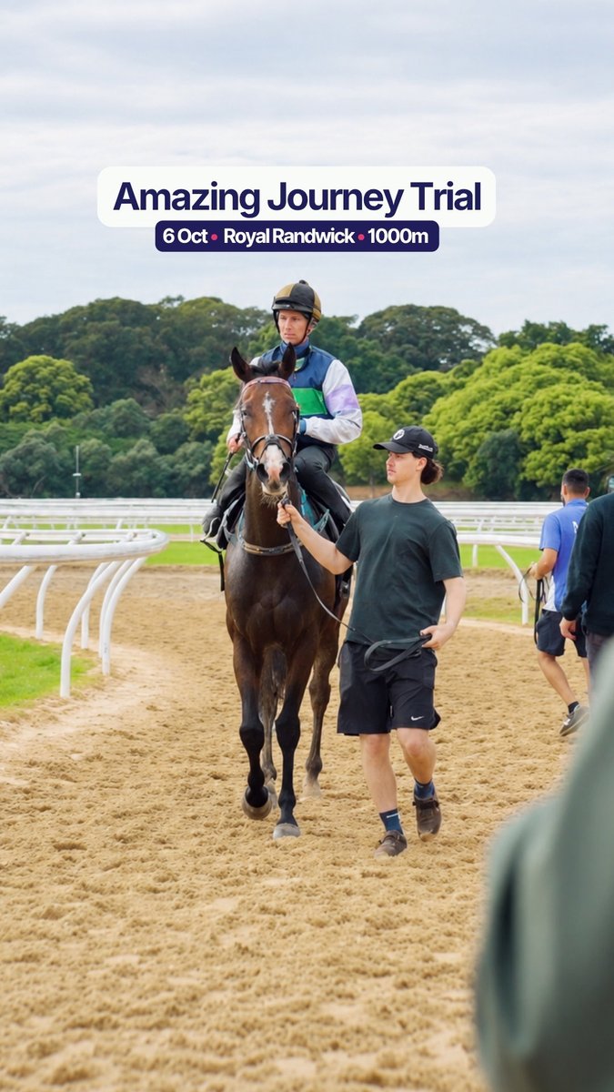 A jockey on a brown horse being led along a track, with text overlay reading 'Amazing Journey Trial, 6 Oct • Royal Randwick • 1000m'.