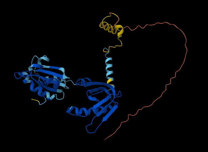 Adene_danny's tweet photo. AlphaFold MEV Structures https://t.co/i9gthIExX8