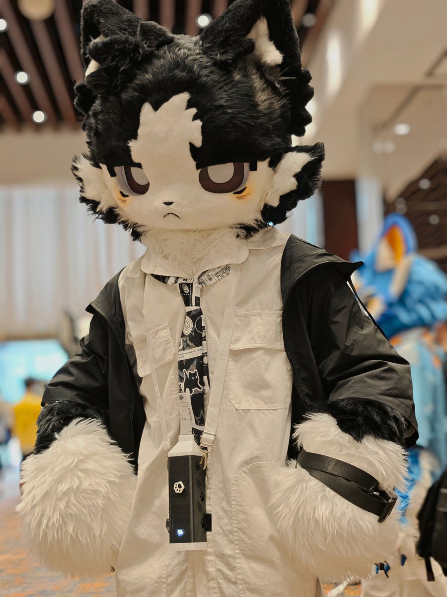 CarbonTheCatUwU's tweet photo. https://t.co/b5hTXbnqsE