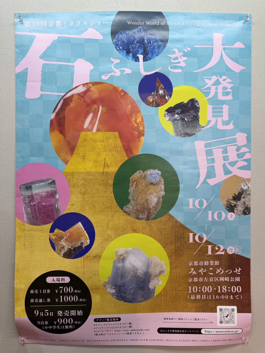 ameri_shimizu's tweet photo. 次は京都‼️🔥
第38回 京都ミネラルショー
「石ふしぎ大発見展」にAMERI出展します💎

📅10月10日(土)〜12日(月・祝)
📍京都市勧業館みやこめっせ

京都はハイブースですから
並ぶ石の量が全然違います‼️
今回仕立てたばかりの新しい鉱物たちも京都へ持っていきます🔥

AMERIブースでお待ちしております！