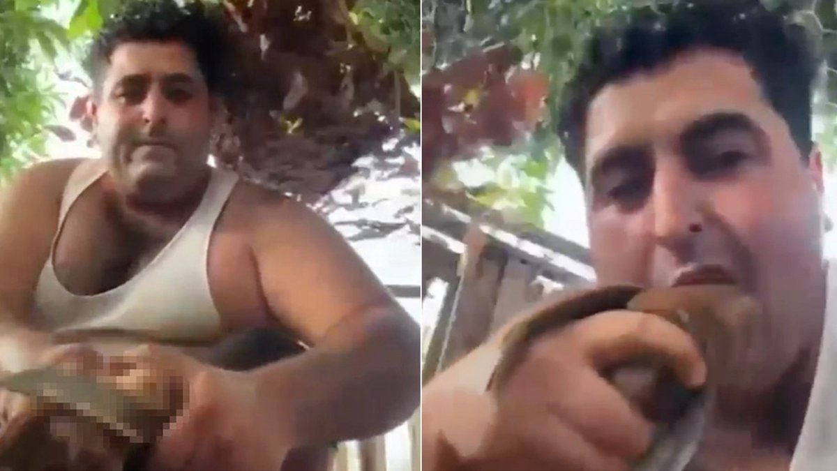 cumhuriyetgzt1's tweet photo. Alanya’da kuşlara işkence ettiği görüntüleri paylaşmıştı: Tutuklandı

Antalya'nın Alanya ilçesinde kuşları öldürdüğü anları cep telefonuyla kaydedip sosyal medyada paylaşan Yusufcan Turay, tutuklandı.
https://t.co/4eS1FCcUCt https://t.co/EBdFokf7ft