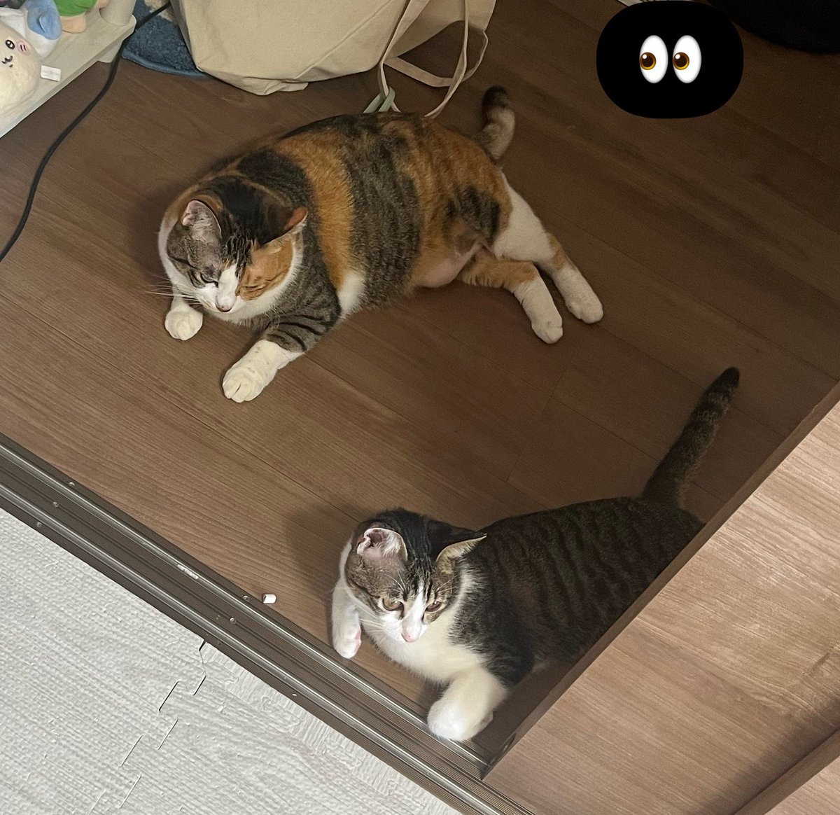 _ku_ch_'s tweet photo. なんだねキミ達は https://t.co/7o2i7ZMhsE