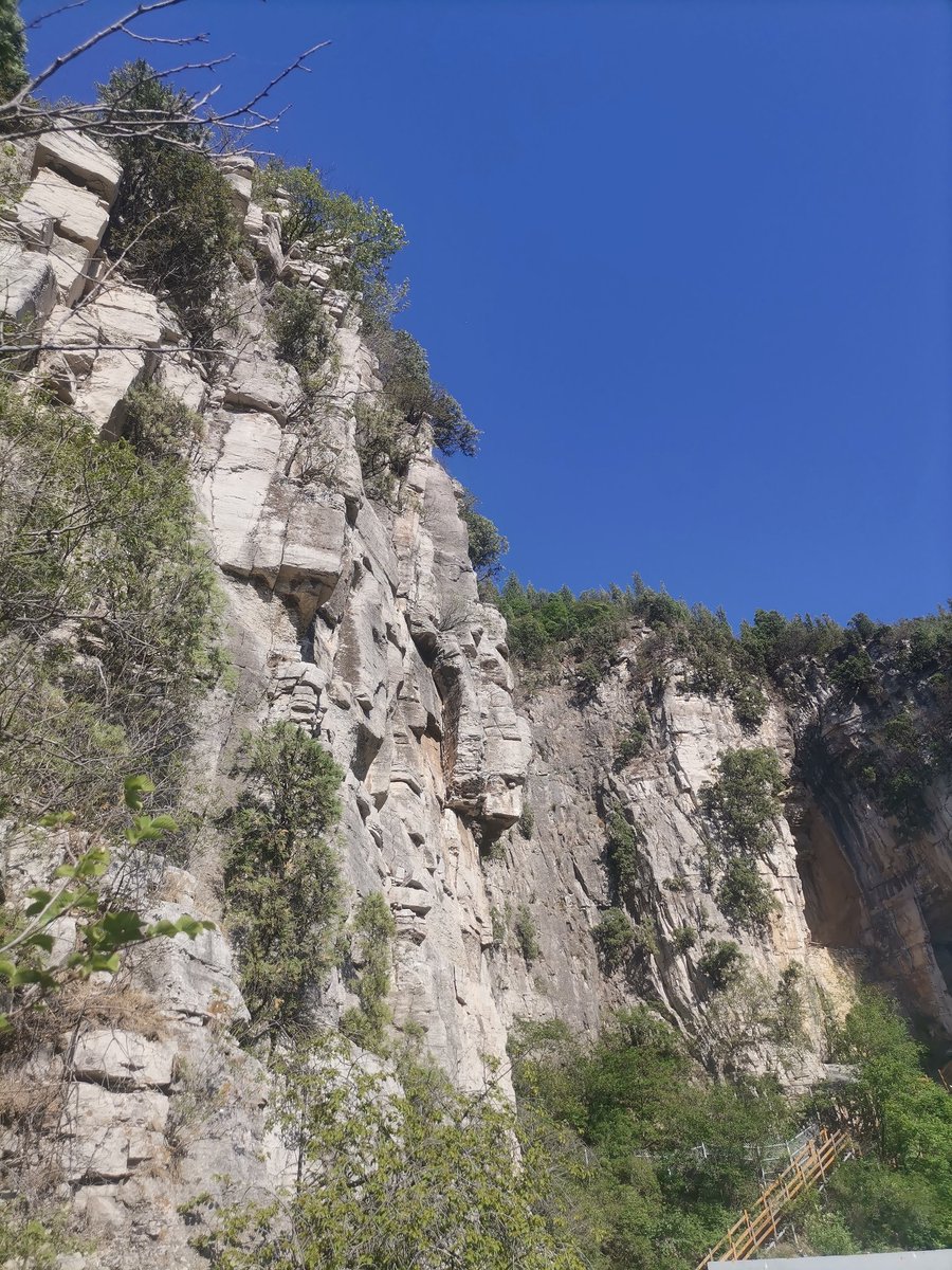 Titoputra8's tweet photo. [A morning hike along the steep cliff path makes me feel that every drop of water from the mountain stream is the sweetest reward for my hard work!]， https://t.co/RaBAkoZXau