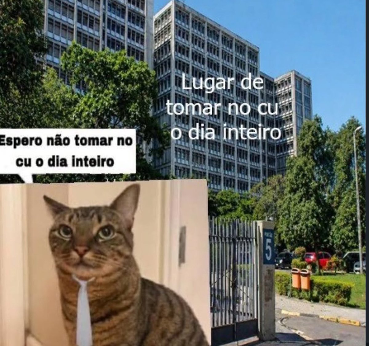 shitpostverdade's tweet photo. https://t.co/UtMOX42wTd
