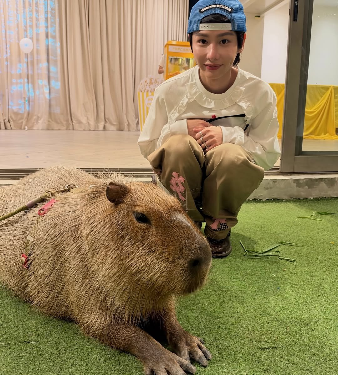 SFT93GUN's tweet photo. @prazchaya kok capybara kita mirip nong? jangan-jangan kembaran🤭 https://t.co/SF6CGrQPGO