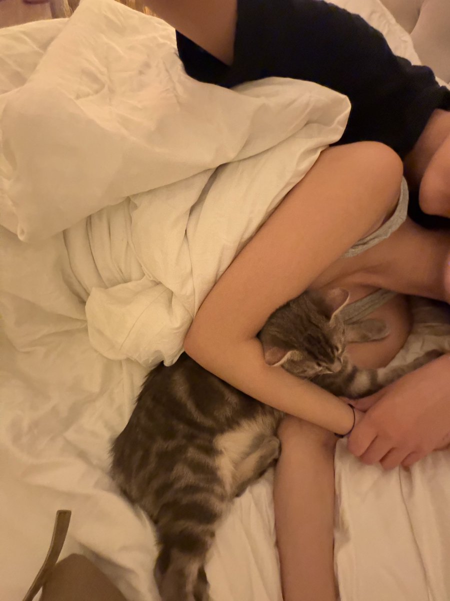 M2lik8's tweet photo. قاعده اعيش خيالي مع حبيبتي❤️ #wlw https://t.co/JGASZWSz6F