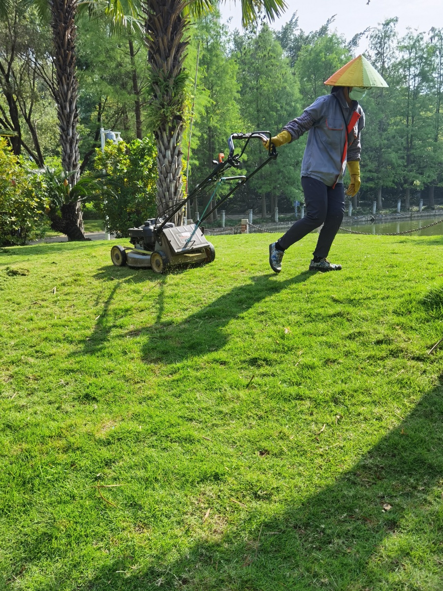 Diego00564152's tweet photo. Just mowed my backyard with 5mu of lawn, but my leg’s sore—what a tough work session! That’s the outcome I’ve been keen on though. https://t.co/liwqG0aQgV