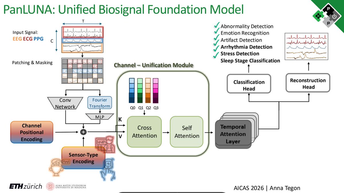 pulp_platform's tweet photo. We recently attended #AICAS2026 in Vietnam, where Anna presented our paper "PanLUNA: An Efficient and Robust Query-Unified Multimodal Model for Edge Biosignal Intelligence". You can view the photos below and read the full paper here: https://t.co/muzzVTCUDR https://t.co/vUel0pLvYM
