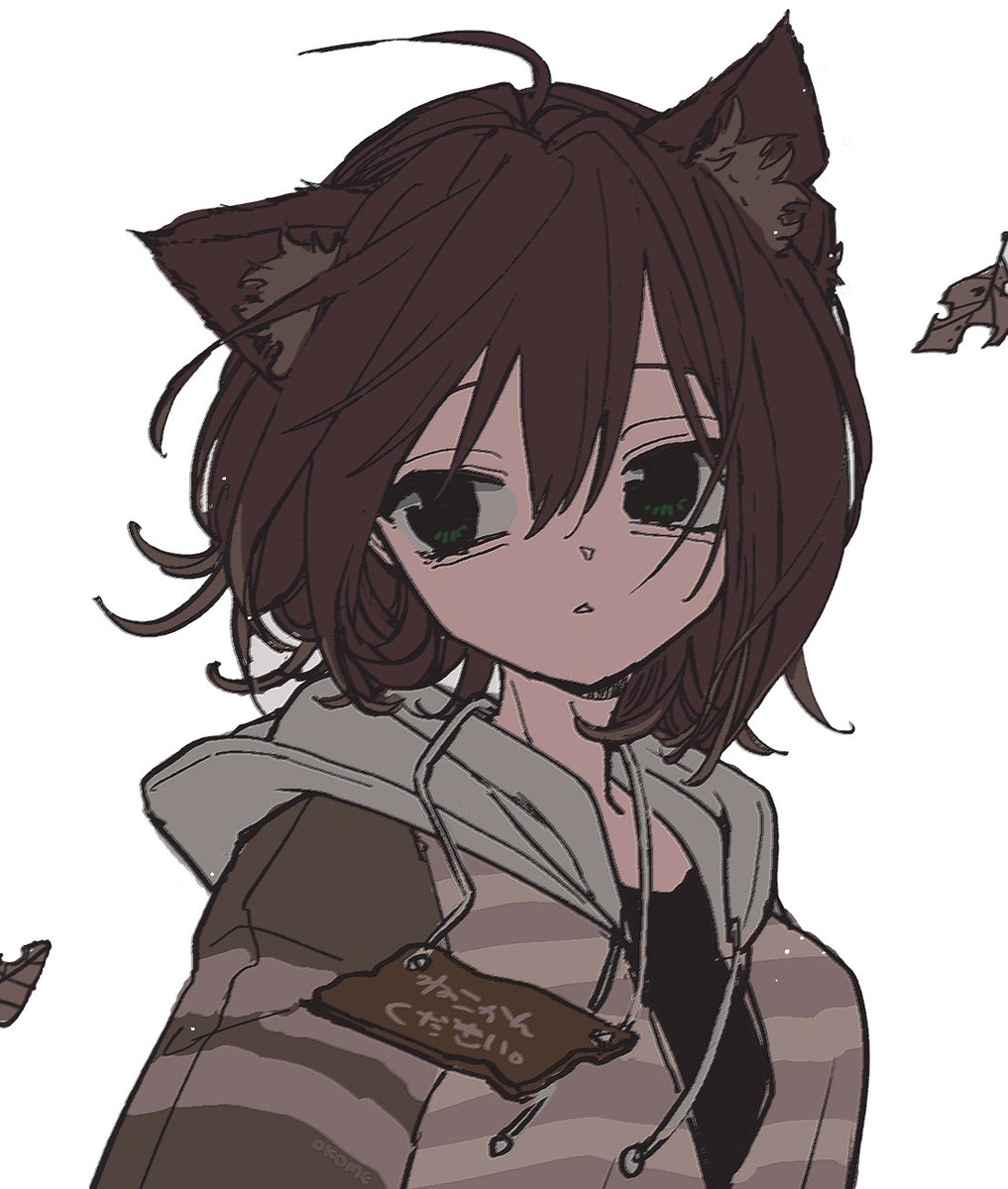 okomeumapi's tweet photo. #のらねっこあら https://t.co/h8G36l6ETX