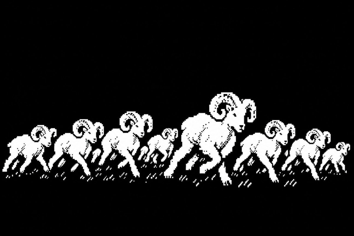 HashRammers's tweet photo. The Herd Grows 

9 RAMs 

Live at https://t.co/x2lcUHAosM https://t.co/QBZmUKIyga