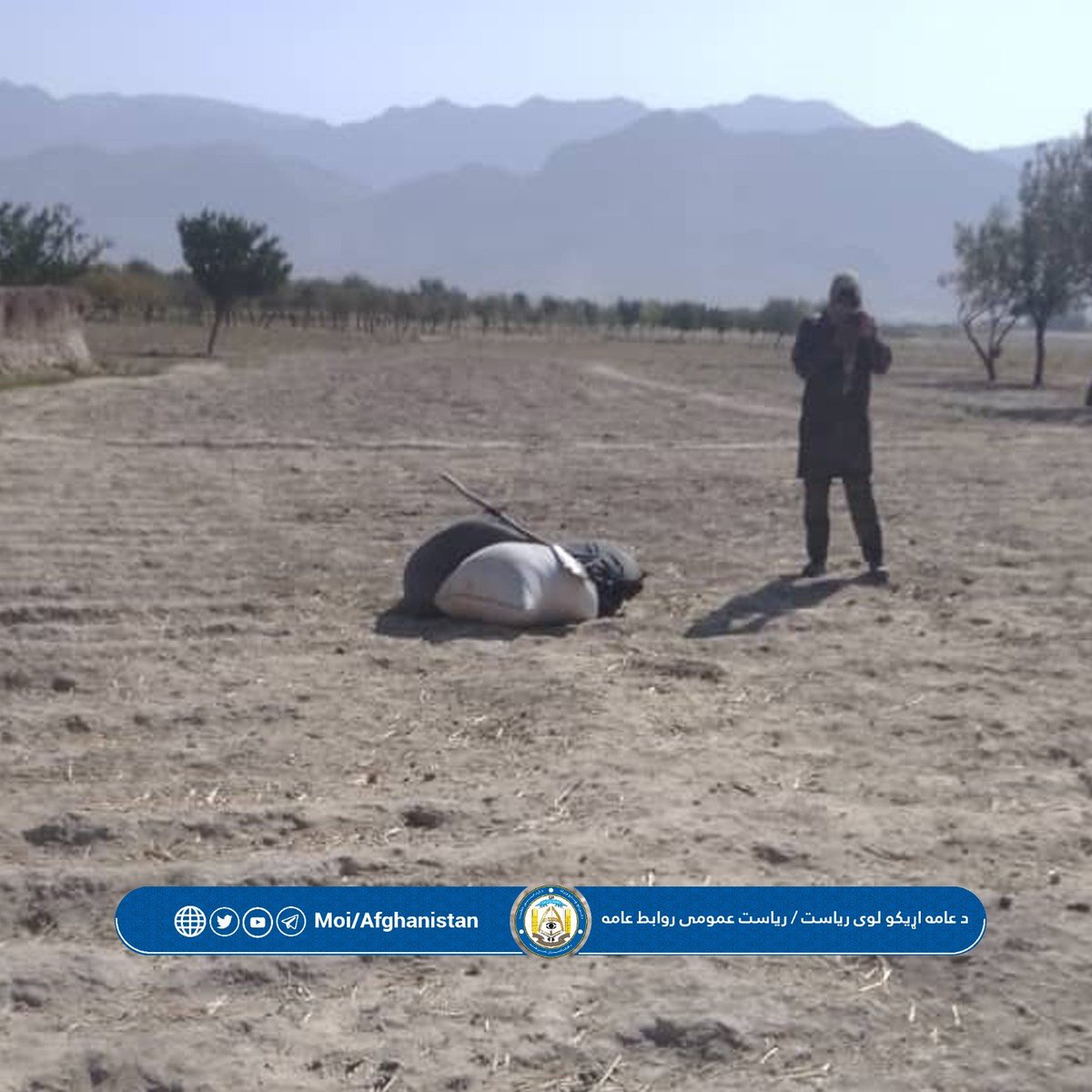 moiafghanistan's tweet photo. از قاچاق ۱۱کیلوگرام موادمخدر در ولایت کندز جلوگیری و دو کارخانه‌ی تولیدی آن در ارزگان کشف و آتش زده شد

در نتیجه‌ی اقدام‌های جداگانه‌ی نیروهای شرطه‌ی مبارزه با موادمخدر قوماندانی امنیه‌ی ولایت ارزگان، دو کارخانه‌ی تولید موادمخدر ١/٢ https://t.co/3jEXKscSmS