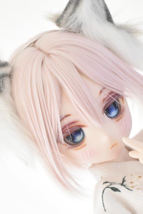 PACARO0145sub's tweet photo. ドヤ☃️

#うちのこかわいい https://t.co/mlulkJN722