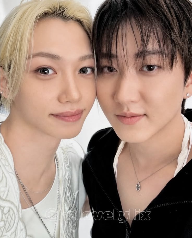 felixsrightarmm's tweet photo. the most changlix coded kitties ever https://t.co/OD0lwxe2Jd