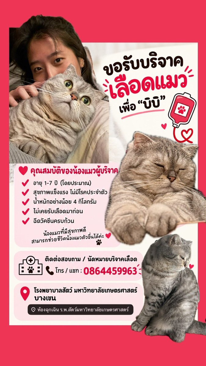 johnjud_cu's tweet photo. 🚨ชมรมช่วยประชาสัมพันธ์ค่ะ

ขอรับบริจาคเลือดแมวให้น้องบิบิ

😺คุณสมบัติของน้องแมวผู้บริจาค
- อายุ 1-7 ปี
- สุขภาพแข็งแรง ไม่มีโรคประจำตัว
- น้ำหนักอย่างน้อย 4 กิโลกรัม
- ไม่เคยรับเลือดมาก่อน
- ฉีดวัคซีนครบถ้วน

ติดต่อสอบถาม/นัดหมายบริจาคเลือด
โทร : 0864459963 https://t.co/zimMb98fDF