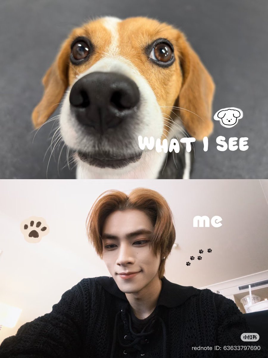smoldejuns's tweet photo. XIAOJUN XIAOHONGSHU UPDATE

'what i see' vs 'me'

OMG SO CUTE 😭😭😭 https://t.co/0zVSENjCZ9