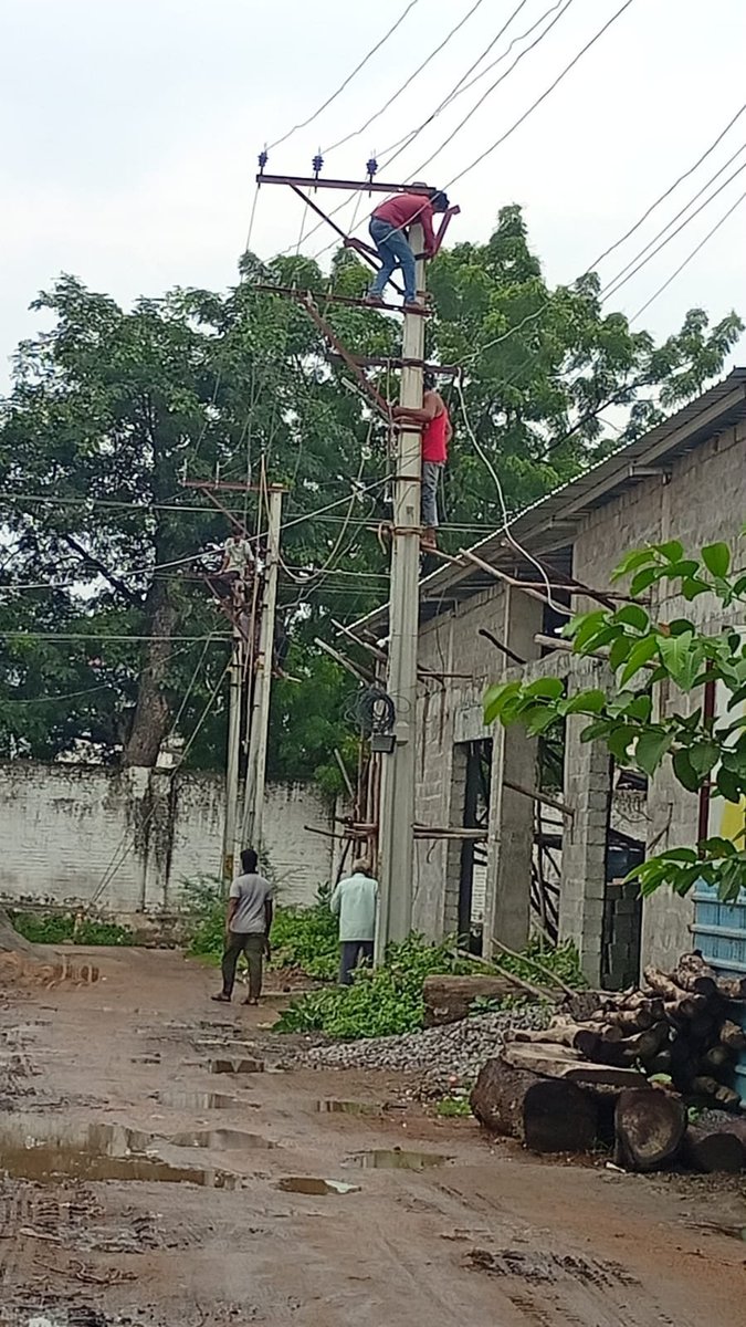 sohelreporter's tweet photo. On 12 Sept 2026 (10 AM),  TGNPDCL Nizamabad changed 3 poles of 11KV &amp; 3 poles of LT line (side/cross arms) at Div 14, Bhagat Singh Colony, (Arsapally SS D6).
This work was done illegally WITHOUT any official estimat @TGNPDCL  @TelanganaCMO @CollectorNZBD
@TGVIGENFO https://t.co/CT1v06t0Kz