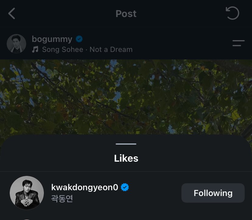 zagummy1's tweet photo. 💭 Kwak Dongyeon, Go Kyungpyo, Locitane, and The North Face Kr left comments under Park Bogum’s latest post

♥️ Kwak Dongyeon, Go Kyungpyo, Lee Hyunwook, Kwon Soohyun, and Tae Wonseok liked his post

#ParkBoGum #박보검 https://t.co/O6O6SbjGjt