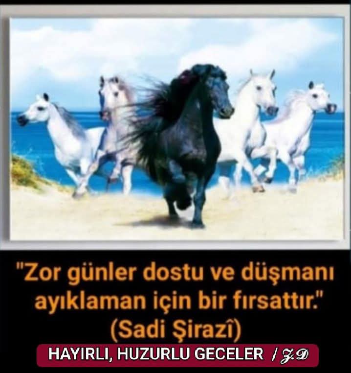 Yapar2Ensari's tweet photo. https://t.co/O6DGT6vIRP