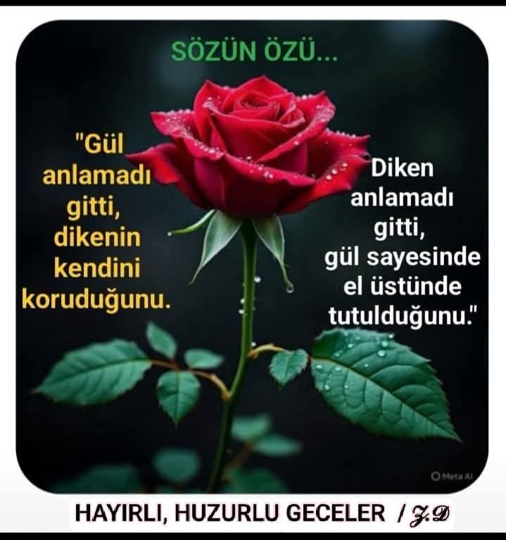 Yapar2Ensari's tweet photo. https://t.co/O6DGT6vIRP