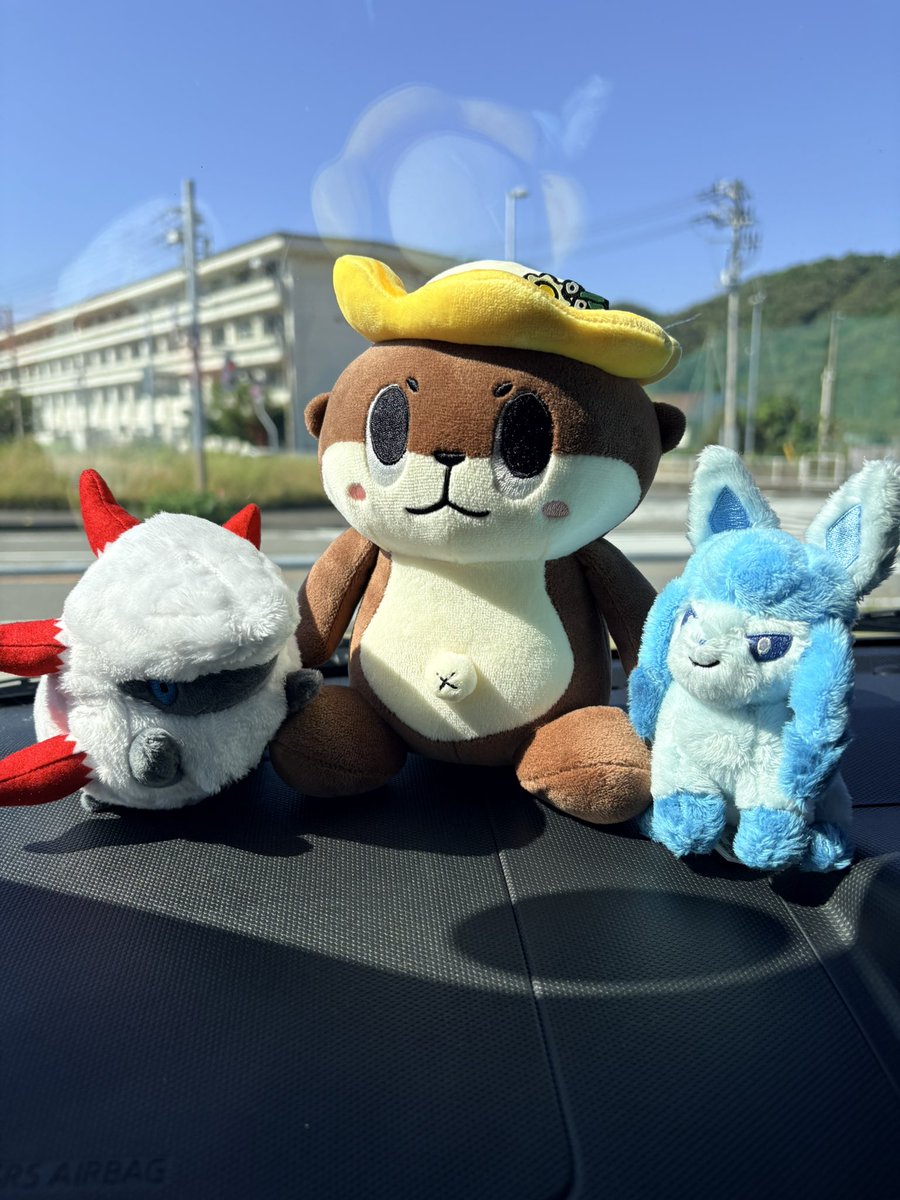 noyAzzz's tweet photo. しんじょうくん、デベソのレベル高くてめちゃくちゃかわいい https://t.co/UTBSMi5ui9