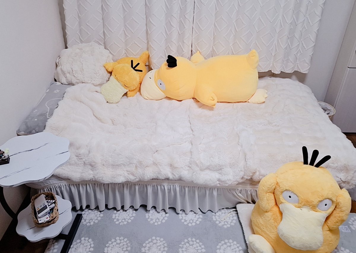 emilie_DQ's tweet photo. ひとりだけ座布団配置のこだ
怒ってる気がする https://t.co/Ds7PEc2z9U