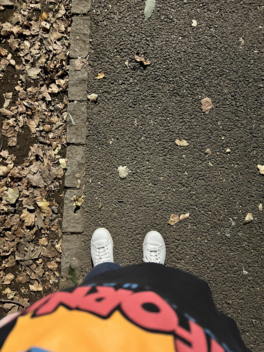 pZgyFg's tweet photo. やる気なさすぎて夕方から超スロースタート、一応10,000歩はクリアしたけど最後までやる気なかった https://t.co/VGBKWdz3F7