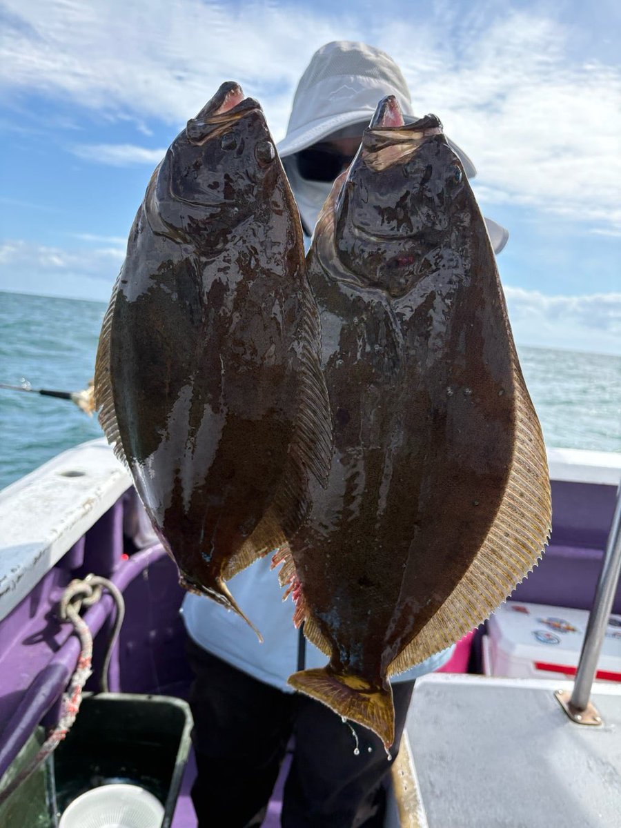 pon39_fishing's tweet photo. 10/4(日)AMヒラメ船釣果🎣

大原今シーズン初挑戦！
オオニベ
ヒラメ 2
(食い逃げ 4)

初っ端からオオニベが掛かり、右腕がご臨終😇
海も荒く風も強く、底取りが難しかったー🥺

竿を変えてからあたりが分かりやすくなった気がする
気のせいかな？🤔 https://t.co/ukQvwd9OWg