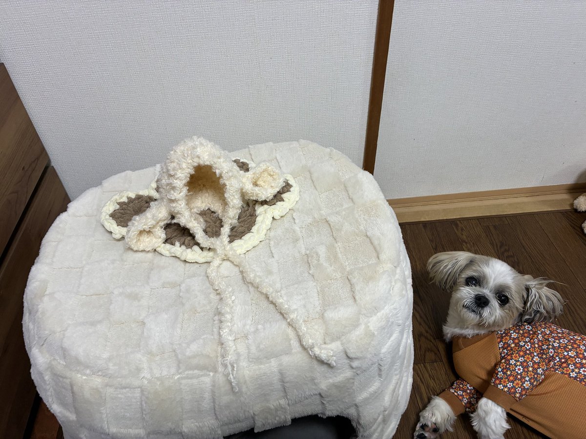 palpal_love's tweet photo. 羊のボンネット頑張って編んでみたよ。 https://t.co/3I0qIijU9T