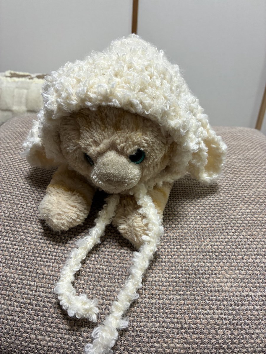 palpal_love's tweet photo. 羊のボンネット頑張って編んでみたよ。 https://t.co/3I0qIijU9T