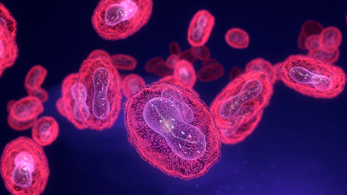 vitalizeone's tweet photo. Mpox (formerly monkeypox) continues to circulate in the U.S. Can it be stopped? dlvr.it/TVnzcL #Mpox #Monkeypox #InfectiousDisease #PublicHealth #DiseaseSpread https://t.co/enHh97Cngv