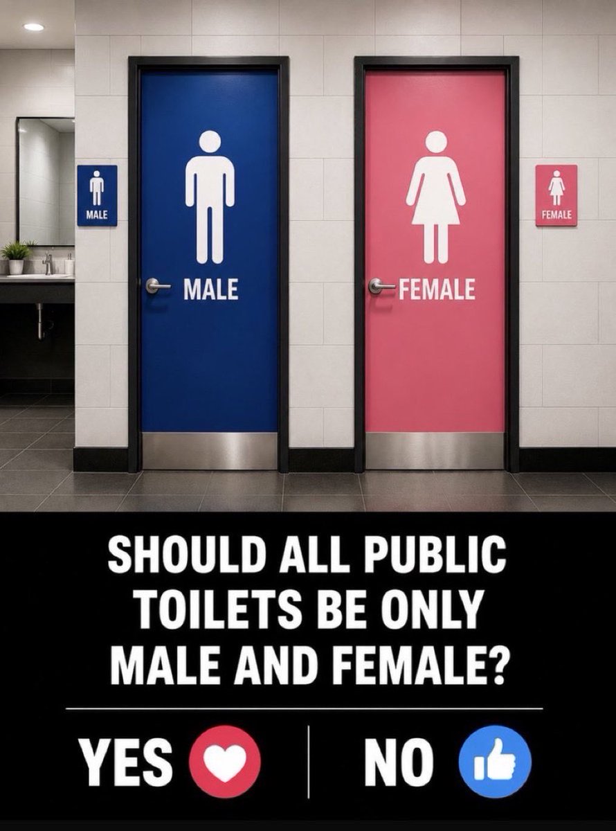 DanBig9953's tweet photo. Should ALL public Toilets be only Male and Female, Yes/No? https://t.co/pyshNBbc99