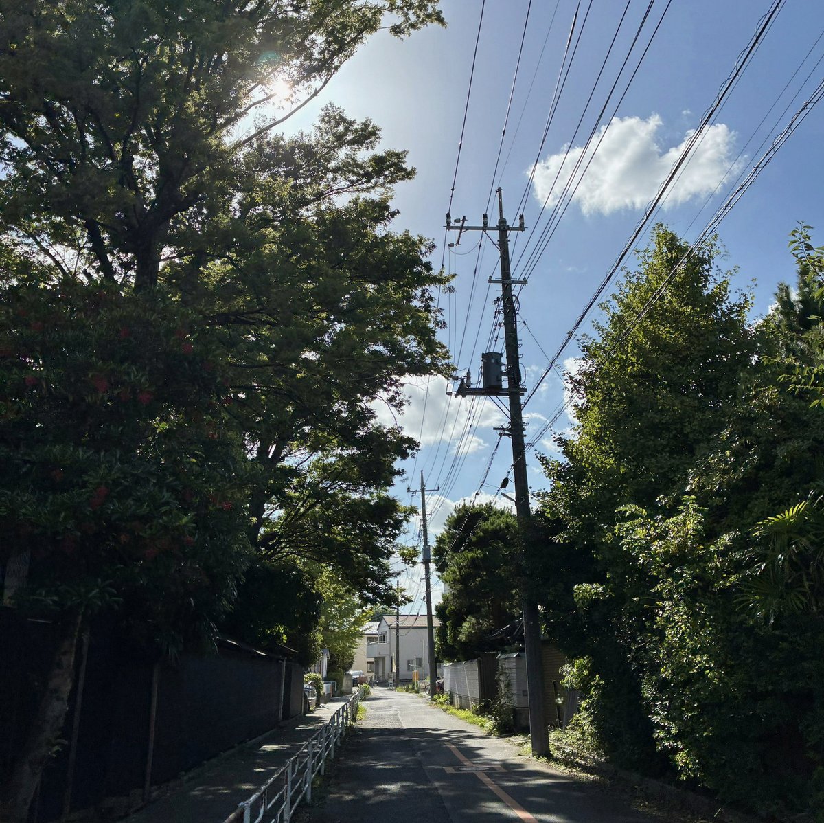 cooking119's tweet photo. 昔っから切れ痔なんでつが最近になって血がダラダラと出てきていよいよマズイ
痔由来の熱もあるし癌かもしれないから早めにビョーイン行かないと https://t.co/IAWZTg4qrj